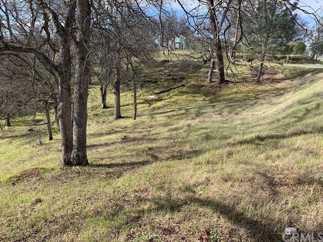 0 Oakridge - Photo 1
