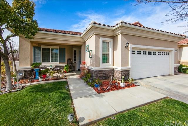 1743 Dalea Way - Photo 1