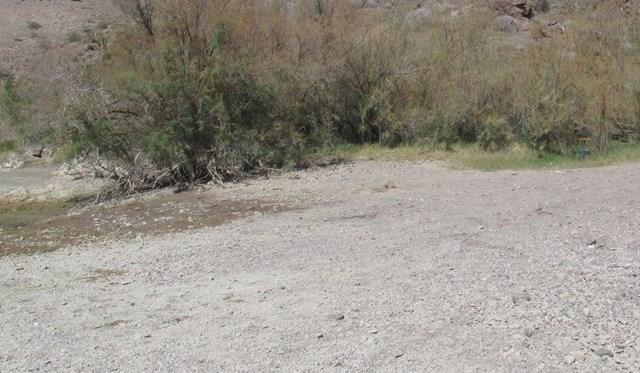 0 Hwy 58 Highway - Photo 1