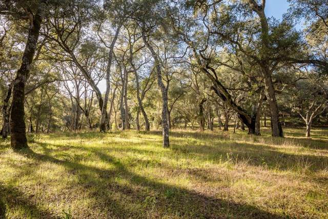 9 Garzas Trail - Photo 1