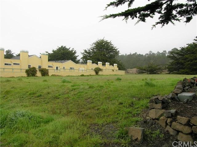 0 Moonstone Beach Drive - Photo 1