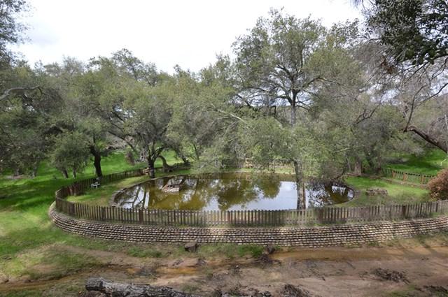 18310 Bunny Drive - Photo 1