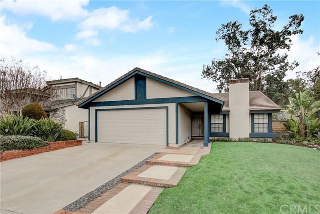 22972 Cedarspring - Photo 1
