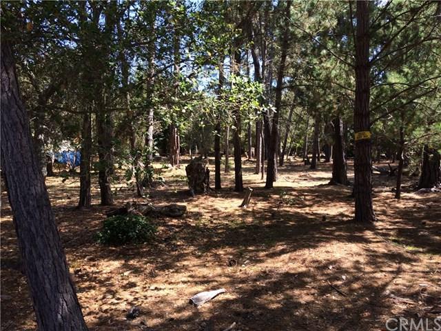 0 Warren Road - Photo 1