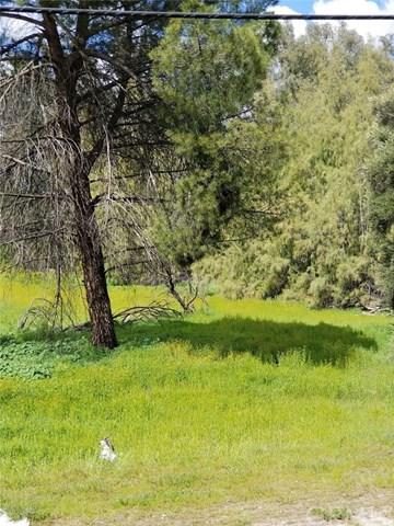 24603 Hwy 74 - Photo 1