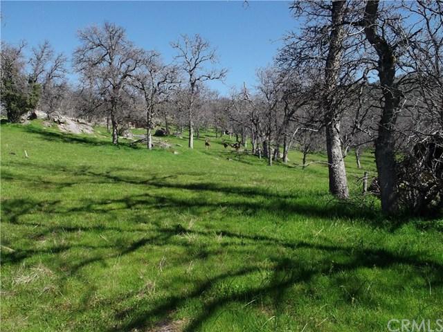 0 Hwy 140 - Photo 1