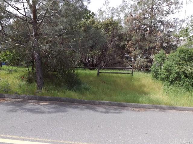 16257 Firethorne Road - Photo 1
