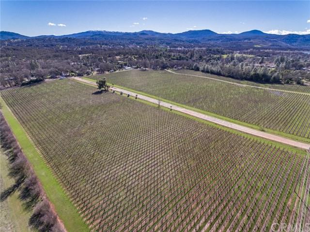 16725 Dam Road - Photo 1