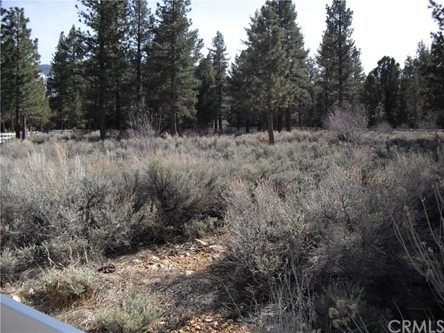 0 Shady Lane - Photo 1