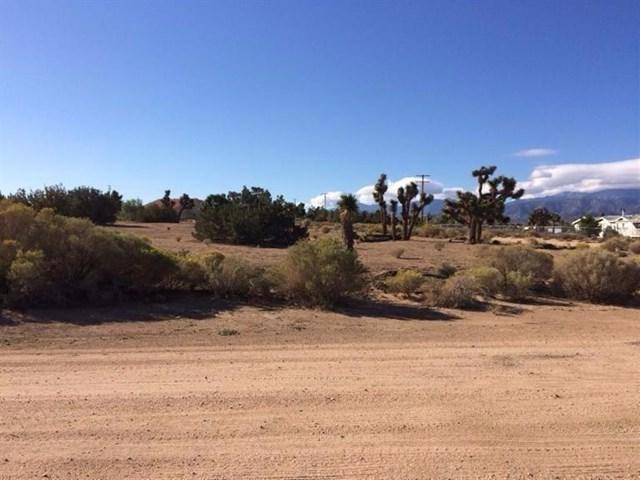 0 Sheep Creek Road - Photo 1