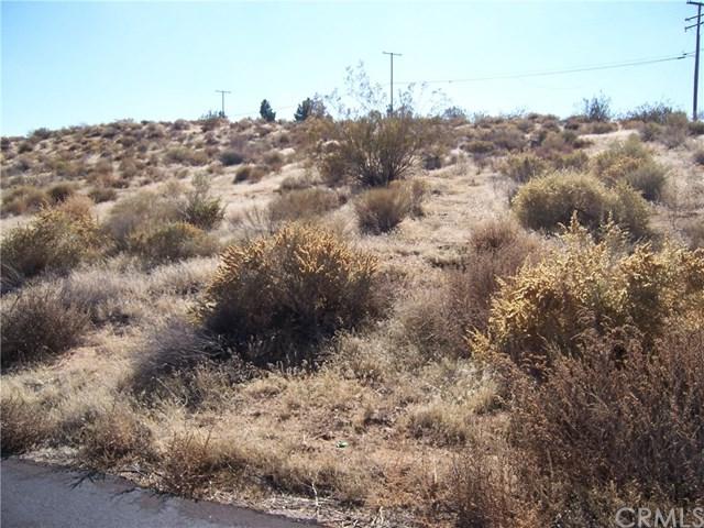 0 Potomac Road - Photo 1