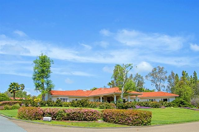 17328 Avenida Peregrina - Photo 1