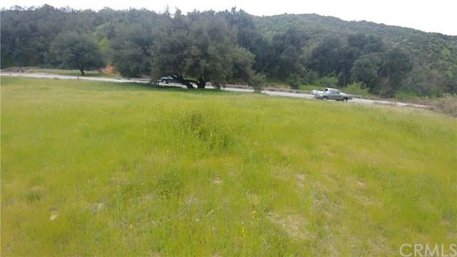 36992 Wildwood Canyon Road - Photo 1