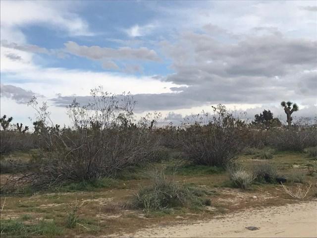 0 Pinon Hills Road - Photo 1