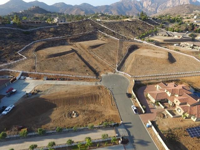 Blossom Ridge Way - Photo 1