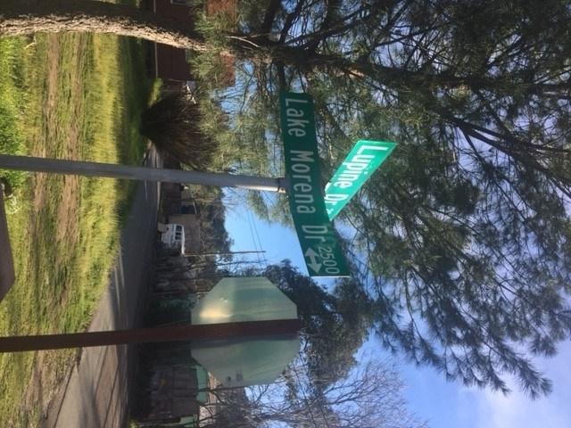 0 Lupine Dr. & Lake Morena Dr. - Photo 1