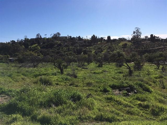 Riverview Dr@Mr Ranch 70-Parcel 2 - Photo 1