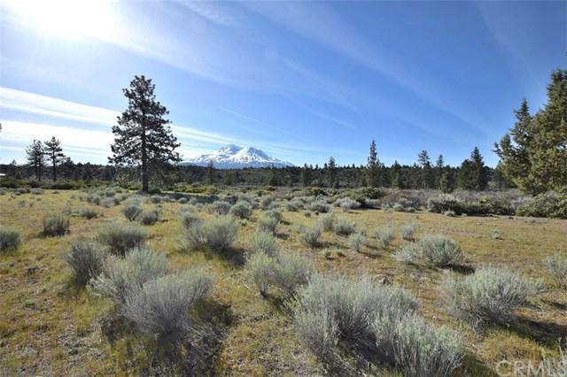 0 10 Acres Big Springs Road - Photo 1