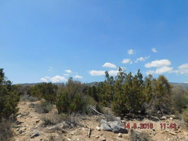 0 Elsinore Rd - Photo 1
