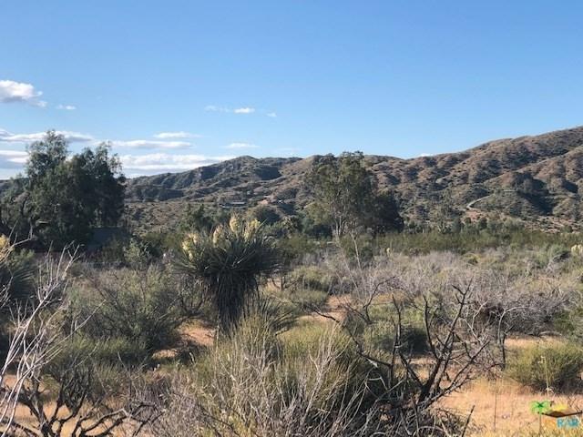 0 Pioneer Road - Photo 1