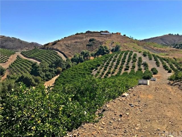 26700 Avenida Del Oro - Photo 1