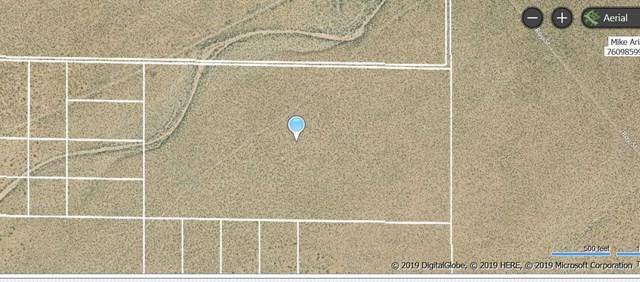 0 Hoffman Road - Photo 1