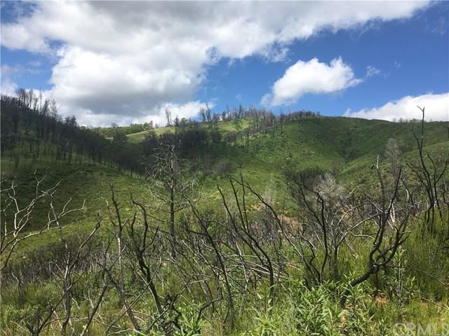 22100 Morgan Valley Road - Photo 1