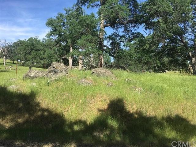 0 Humbug Creek Road - Photo 1