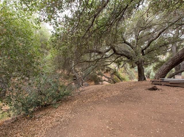 12395 Santa Catalina Rd - Photo 1