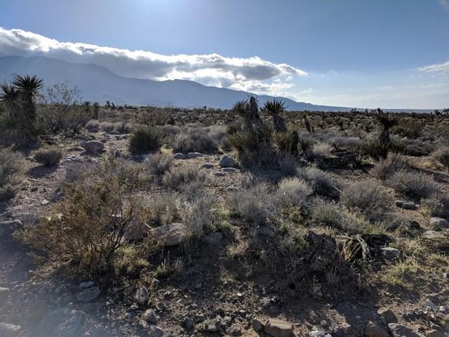 0 Near Custer Road - Photo 1