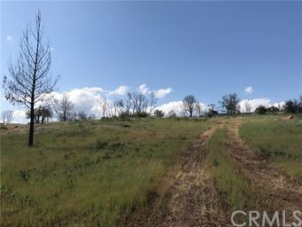 21630 Yankee Valley Road - Photo 1