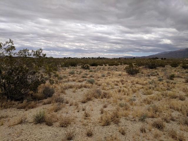 0 Locust Avenue - Photo 1