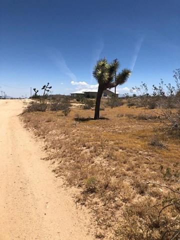 0 Olivine Road - Photo 1