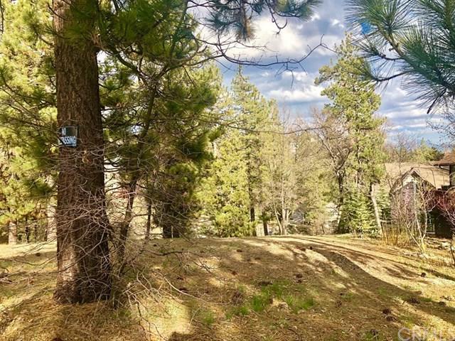 1027 Fawnskin Dr. - Photo 1