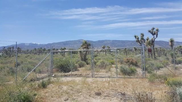 0 Daisy Lane - Photo 1