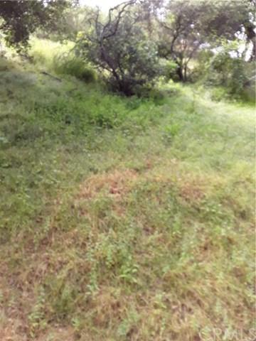 0 North Trail - Photo 1