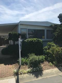 38 El Paseo - Photo 1