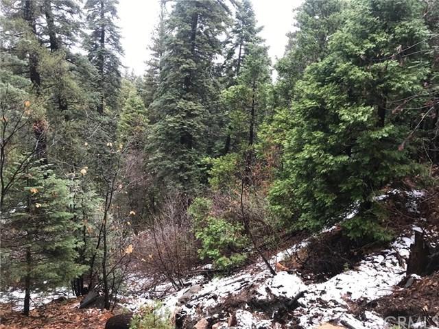 0 Hwy 173 - Photo 1