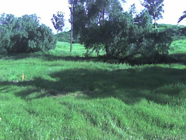 30275 Palm Drive - Photo 1