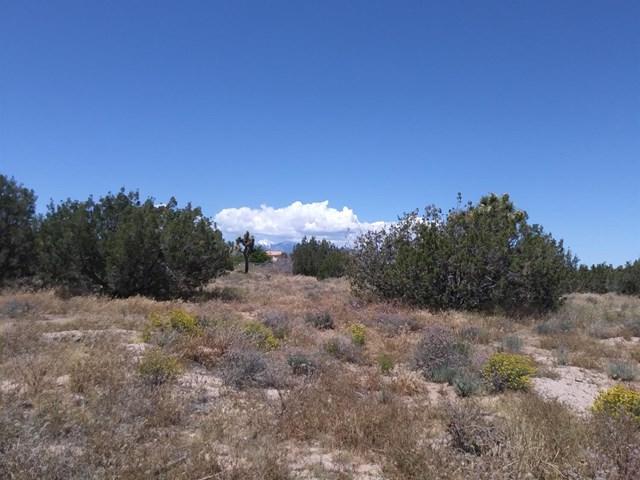 0 Ranchero Road - Photo 1