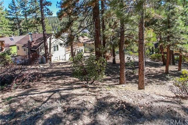 39033 Bayview Lane - Photo 1