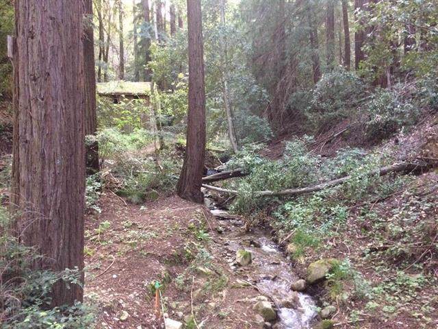 24140 Booker Creek Road - Photo 1