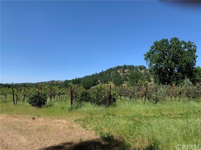 17680 Morgan Valley Road - Photo 1