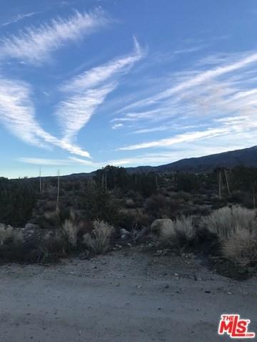 0 Smoketree - Photo 1