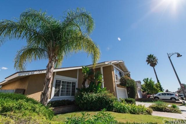 24132 La Pala Lane - Photo 1
