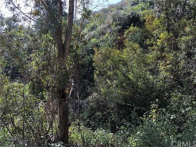 5505 Palmer Canyon Road - Photo 1
