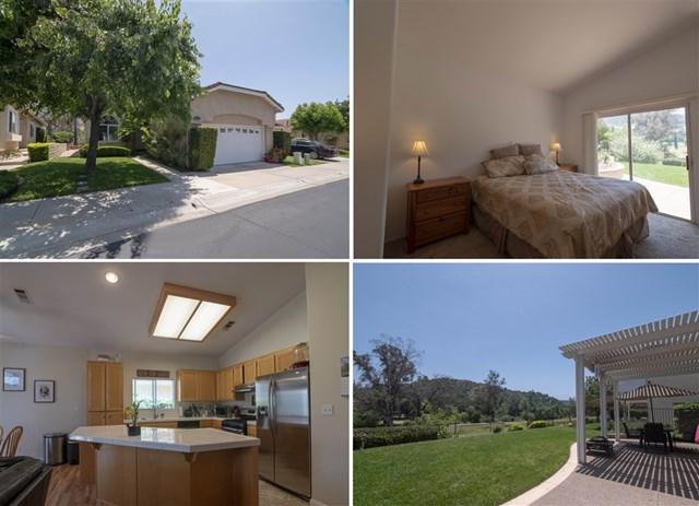 8877 Tobira Drive - Photo 1