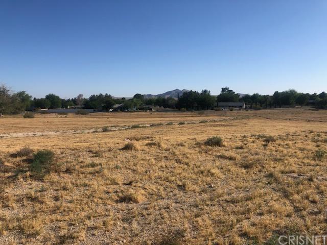 0 Yucca Springs St - Photo 1