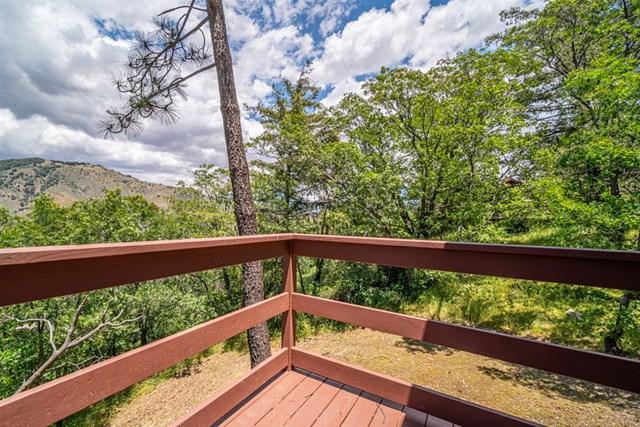 1236 Volcan View Dr. - Photo 1