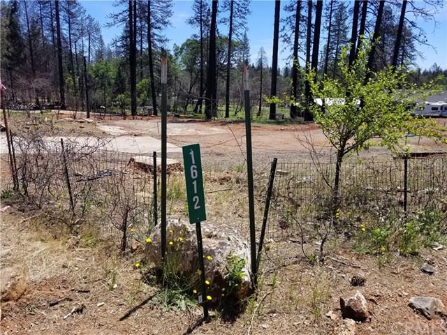 1612 Hucka Lane - Photo 1